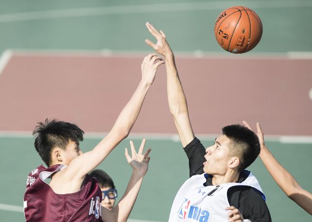 视频一区二区在线观看