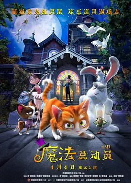 婷婷激情网站