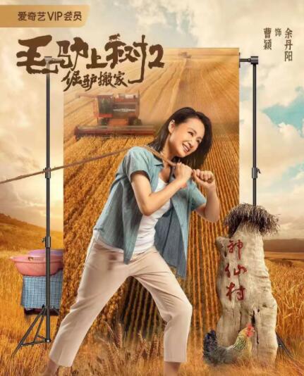免费成人一级片