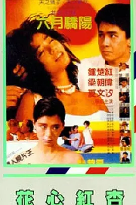 狂野少女免费完整版电影在线播放