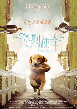 亚洲午夜成aⅴ人片