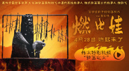 青青草原免费在线观看