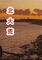 激情小说图片网站
