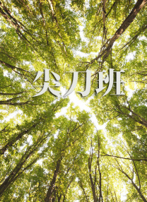 免费视频一区二区