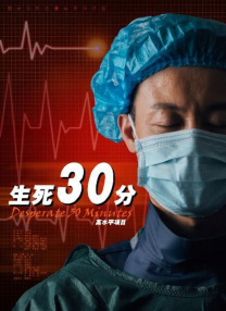 久久精品视频va