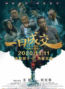 成人精品一区久久久久
